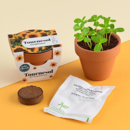 Mini kit 6 cm - Tournesol