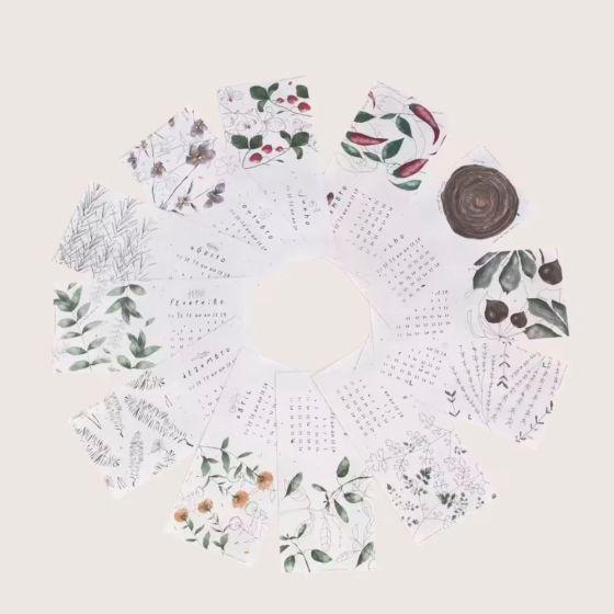 Calendrier à Planter 2026 - Violette Rose