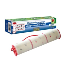 Attrape-mouches géant