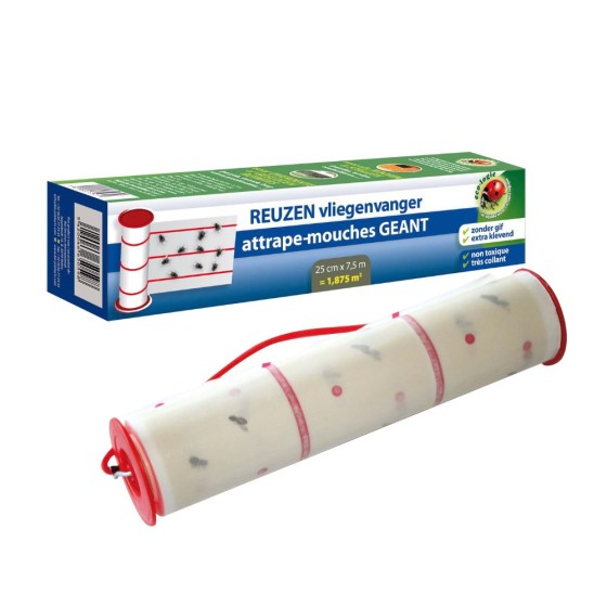 Attrape-mouches géant