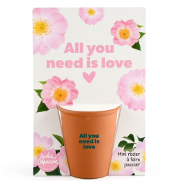 Carte message - All you need is love - Rosier
