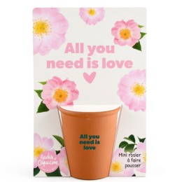Carte message - All you need is love - Rosier