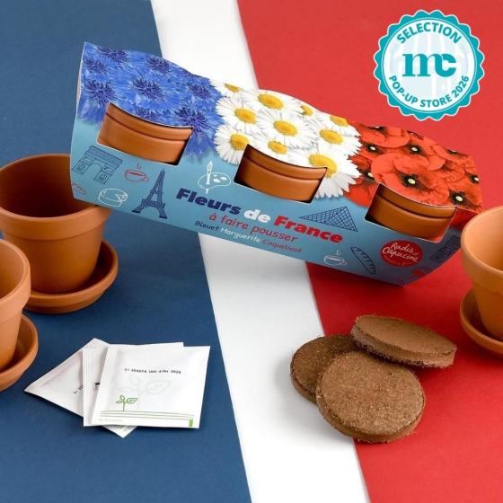 Trio fleurs bleu blanc rouge