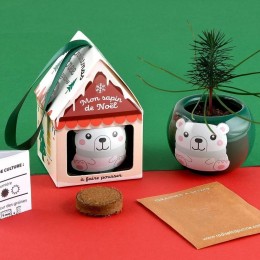 Maison sapin noël - Epicea