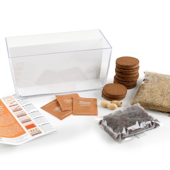 Vivarium Racines vers de terre