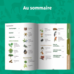 Le guide nature - En forêt - 2ème édition