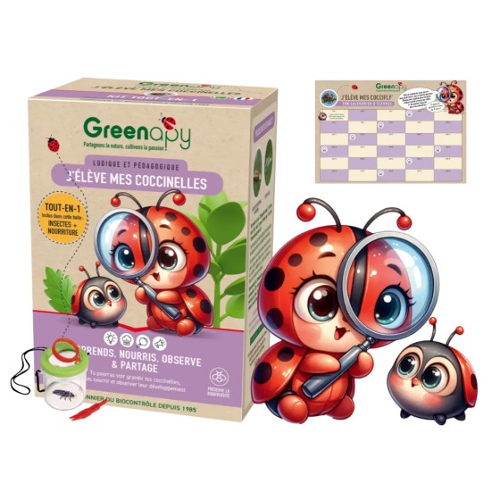 Kit d'élevage de coccinelles - Larves incluses