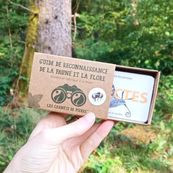 Carnet insectes des jardins