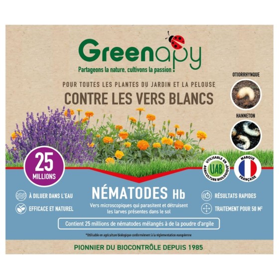 Nématodes HB anti vers blancs 25M - 50m²