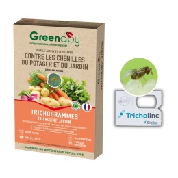 Tricholine jardins chenilles du potager