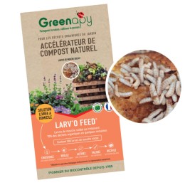 Larvo’Feed, auxiliaire de dégradation naturelle des déchets organiques