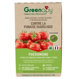 phéromone pyrale du buis Longue durée GINKO BUXUS 1 capsule