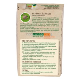 phéromone pyrale du buis Longue durée GINKO BUXUS 1 capsule