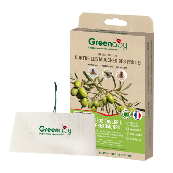 Piège DACOTRAP détection des mouche des fruits