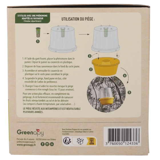 Piège mouche : mouche des fruits