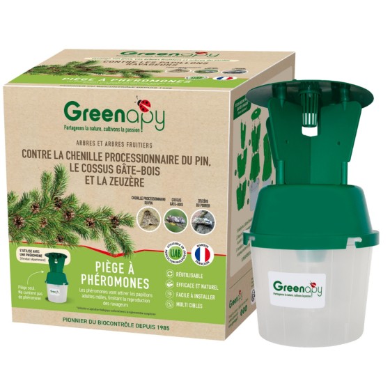 Piège entonnoir à ailettes : processionnaire du pin