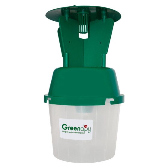 Piège entonnoir à ailettes : processionnaire du pin