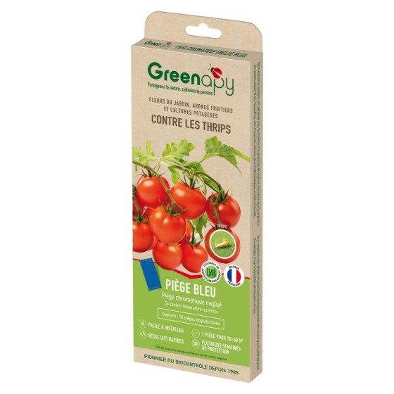 Piège englué chromatique bleues