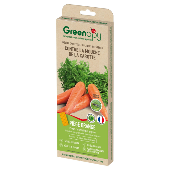 Piège englué chromatique oranges