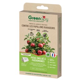 Piège delta : détection des papillons