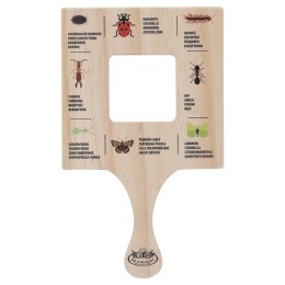 Cadre explorateur Insectes