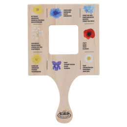 Cadre explorateur fleurs sauvages