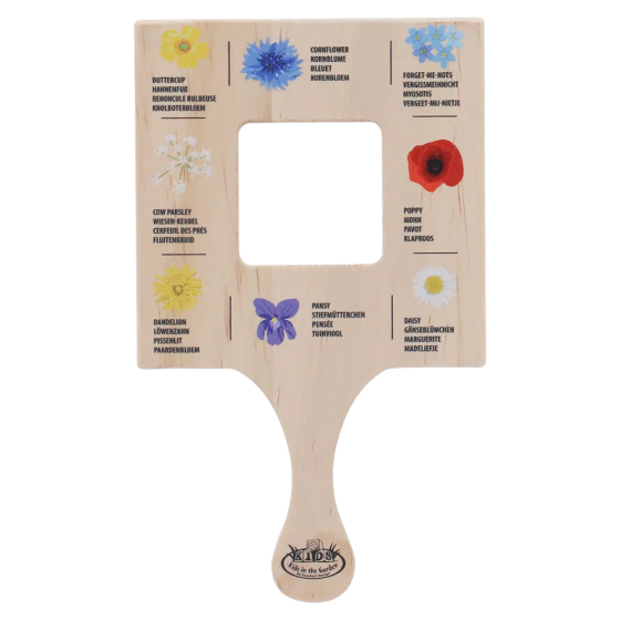 Cadre explorateur fleurs sauvages