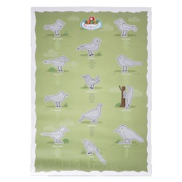 Poster à gratter Oiseaux