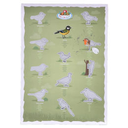 Poster à gratter Oiseaux