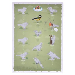 Poster à gratter Oiseaux