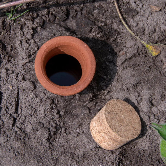 Arrosoir Olla pour plantes Taille S