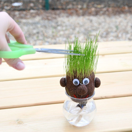 Mr Patate à faire pousser