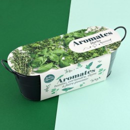 Jardinière zinc noir 30 cm - Aromates