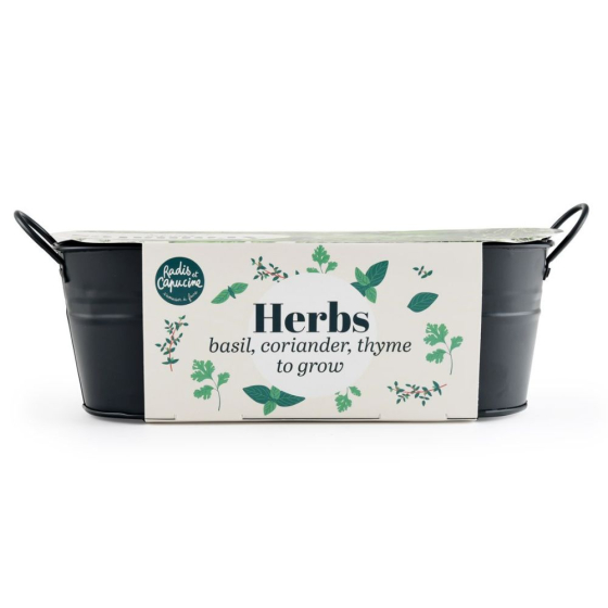 Jardinière zinc noir 30 cm - Aromates