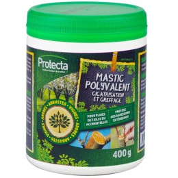 Mastic polyvalent - 400gr