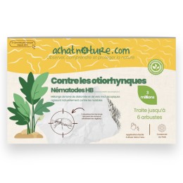 Nématodes HB contre otiorhynques - 3 millions - 6 arbustes