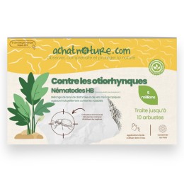 Nématodes HB contre otiorhynques - 5 millions -10 arbustes