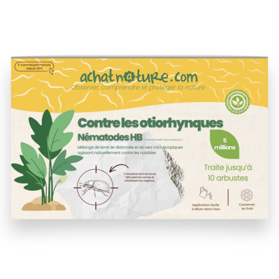 Nématodes HB contre otiorhynques - 5 millions -10 arbustes