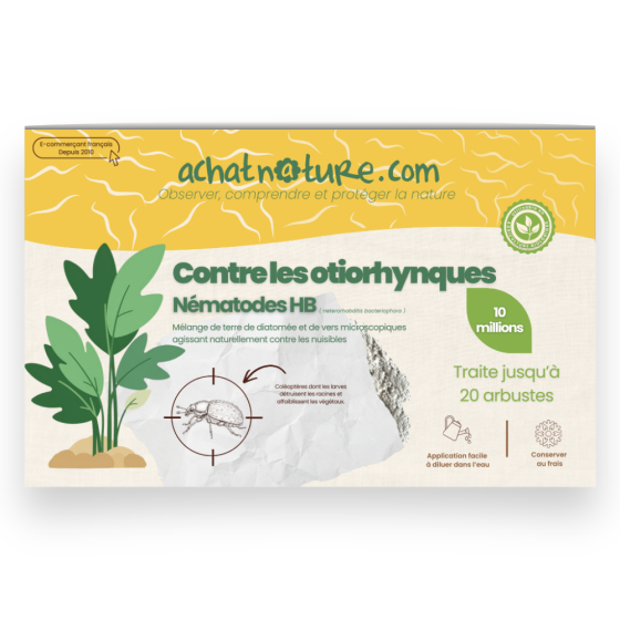Nématodes HB contre otiorhynques - 10 millions - 20 arbustes