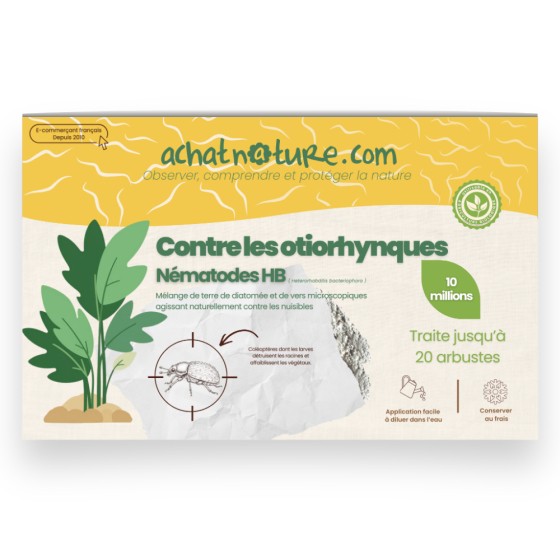 Nématodes HB contre otiorhynques - 10 millions - 20 arbustes