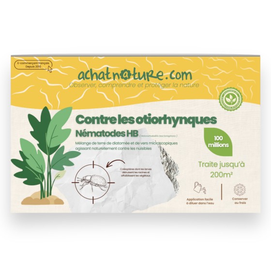 Nématodes HB contre otiorhynques - 100 millions - 200 m²