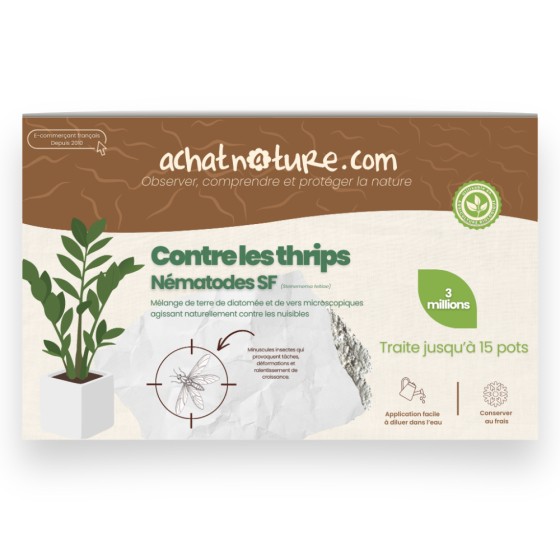 Nématodes SF contre thrips - 3 millions - 15 pots