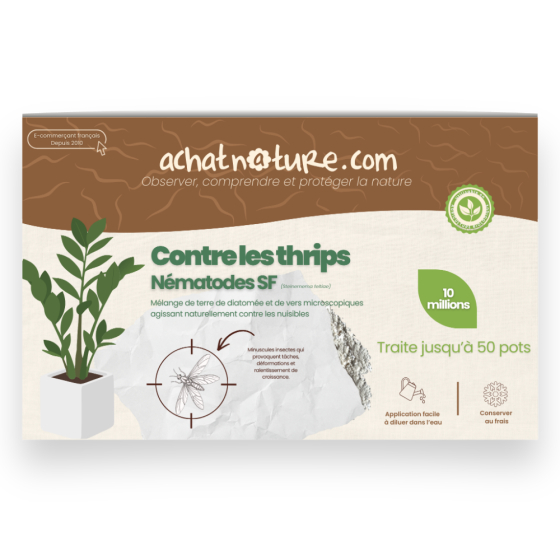 Nématodes SF contre thrips - 10 millions - 50 pots