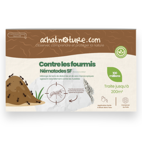 Nématodes SF contre fourmis - 100 millions - 200 m²