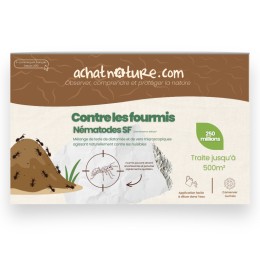Nématodes SF contre fourmis - 250 millions - 500 m²