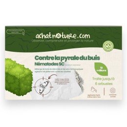 Nématodes SC contre pyrale du buis - 10 millions - 6 arbustes