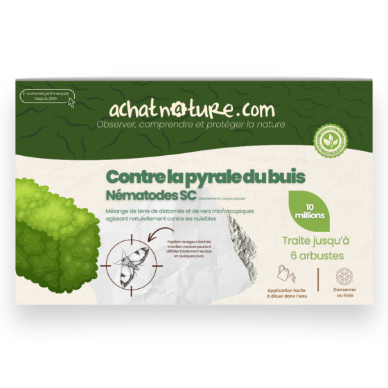 Nématodes SC contre pyrale du buis - 10 millions - 6 arbustes