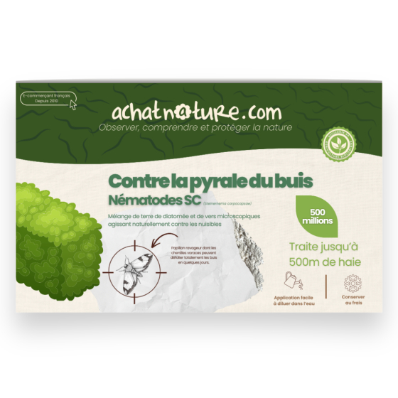 Nématodes SC contre pyrale du buis - 500 millions - 500 mètres de haie