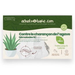 Nématodes SC contre charançon de l'agave - 5 millions - 1 plante