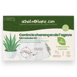 Nématodes SC contre charançon de l'agave - 25 millions - 5 plantes